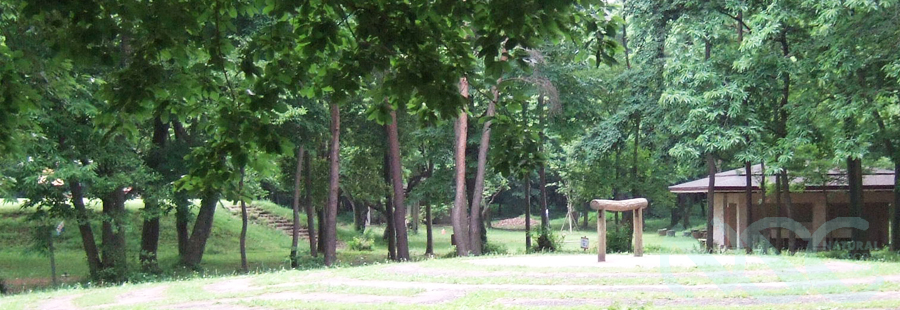 �L�����v